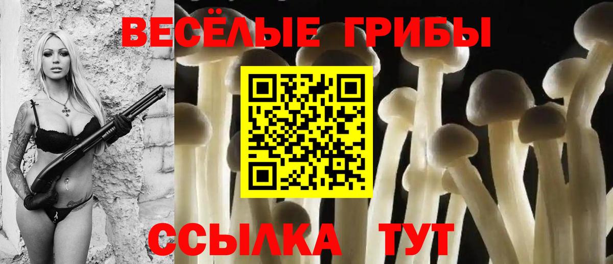 Сокол  Псилоцибиновые грибы GOLDEN TEACHER  Вход с VPN 